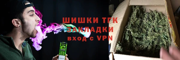 стафф Карпинск