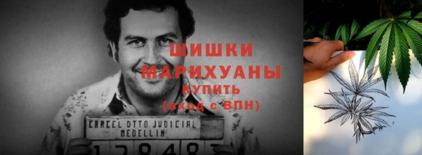 стафф Карпинск
