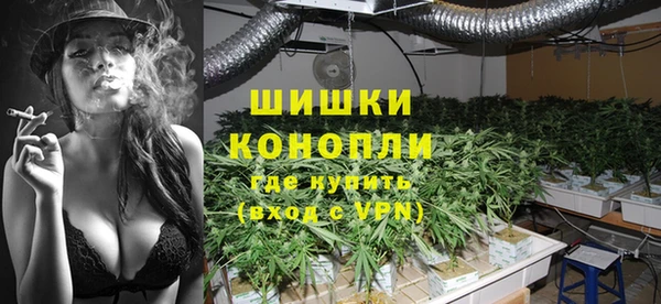 стафф Карпинск