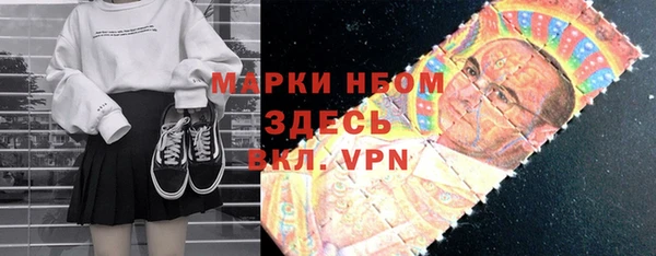 стафф Карпинск