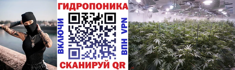 Шишки марихуана Amnesia  Купить где  Рязань 